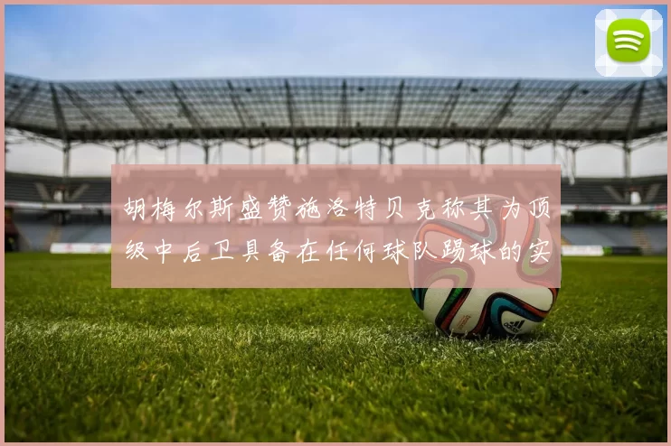 胡梅尔斯盛赞施洛特贝克称其为顶级中后卫具备在任何球队踢球的实力