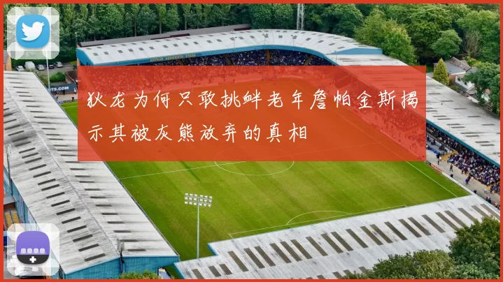 狄龙为何只敢挑衅老年詹帕金斯揭示其被灰熊放弃的真相