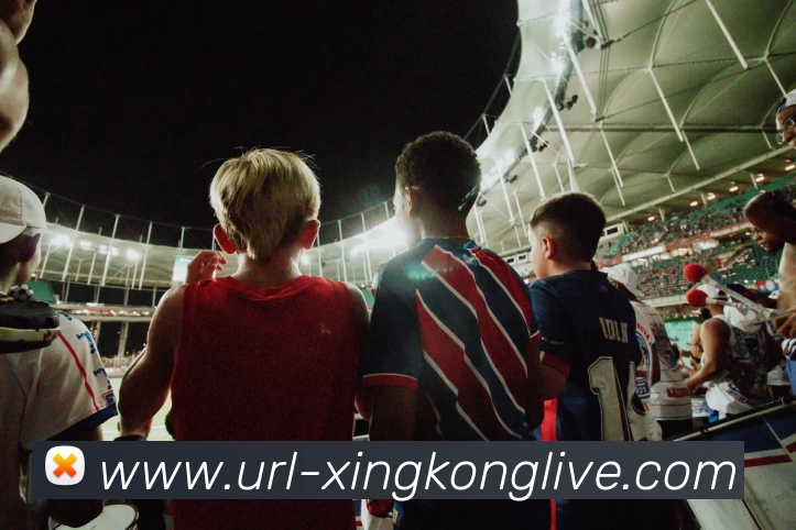 星空体育平台生态图