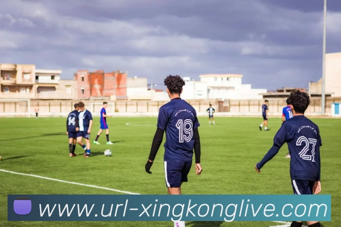 星空体育APP 封面图